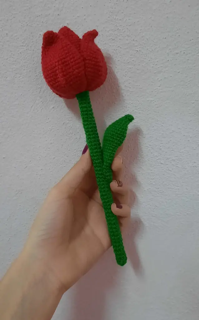 Tulipán